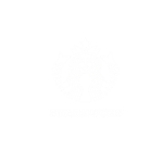 Untitled design (66)